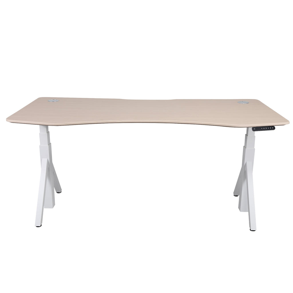 Quattro Series 60" Electric Standing Desk with Curved Top