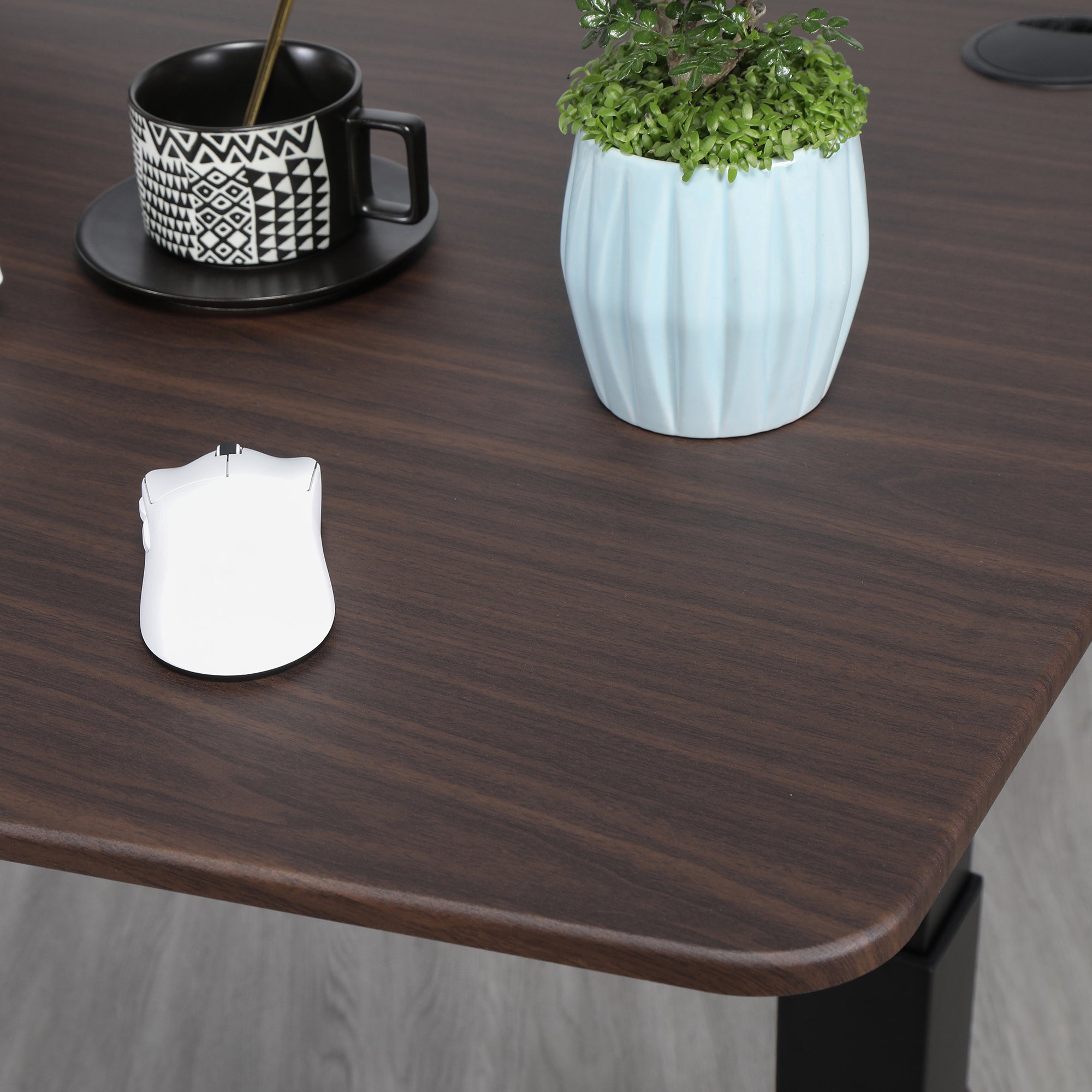 Quattro Series 60" Electric Standing Desk with Curved Top