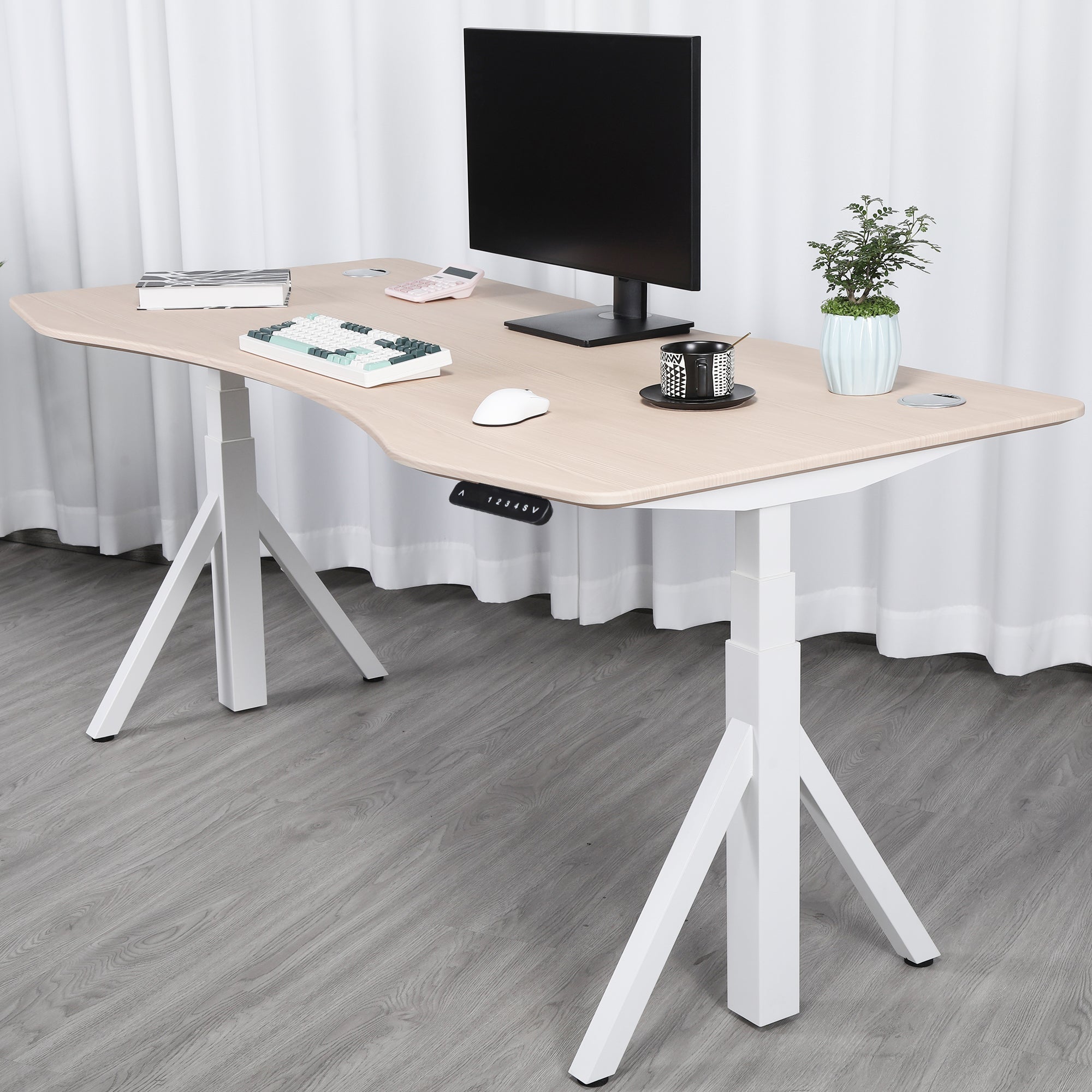 Quattro Series 60" Electric Standing Desk with Curved Top