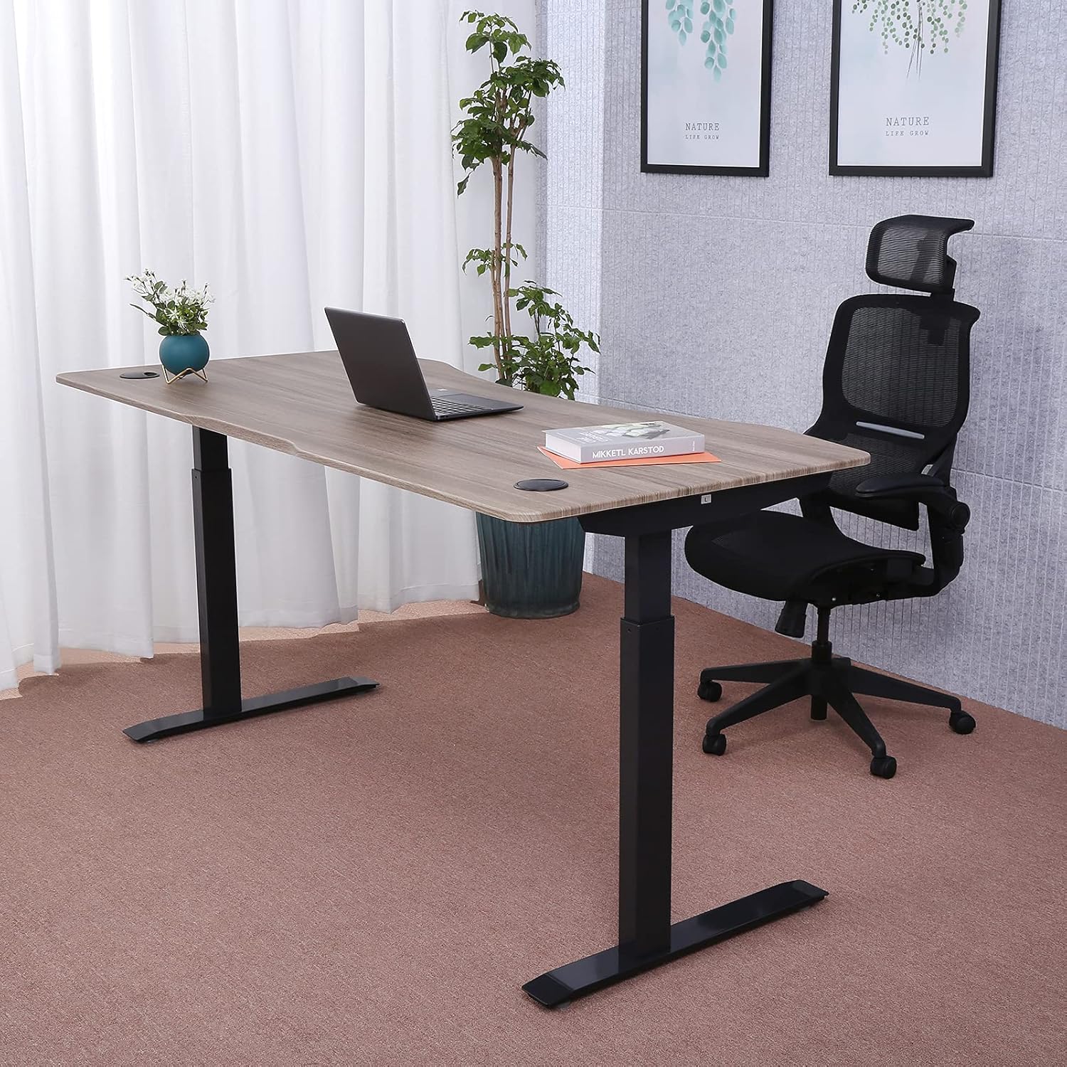 ApexDesk Elite Pro Series 71" x 33" Electric Height Adjustable Stand up Desk, Sit Stand Home Office Desk, Computer Desk - Curved Teakwood