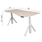 Quattro Series 60" Electric Standing Desk with Curved Top